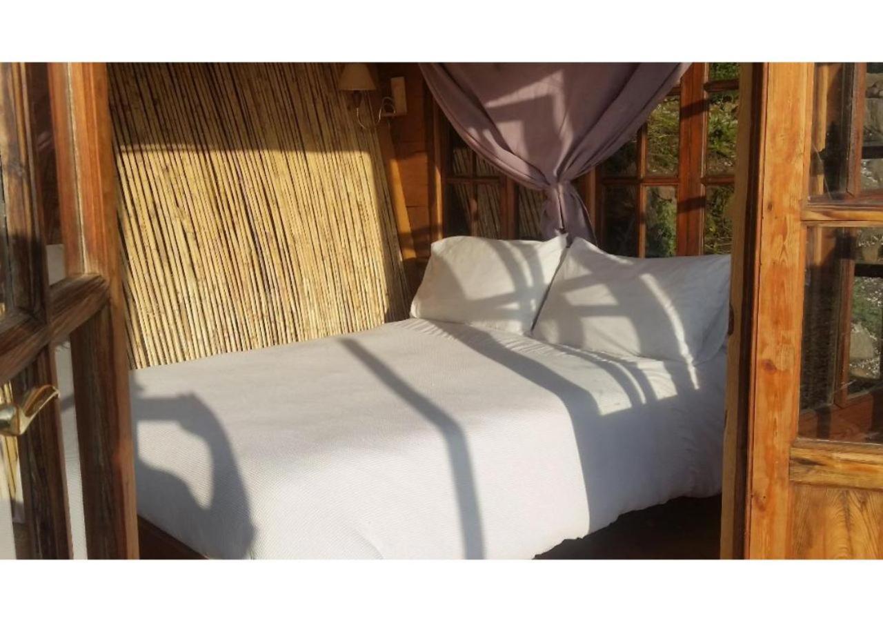 Treehouse ,Casa Arbol, With Spa Algarrobo Dış mekan fotoğraf