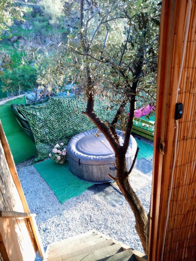 Treehouse ,Casa Arbol, With Spa Algarrobo Dış mekan fotoğraf